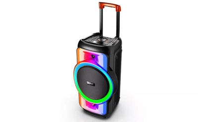 New arrival PA Trolley Speaker with JBL flame fire light
