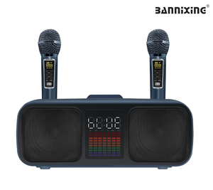 40W Home Theater Karaoke Speaker