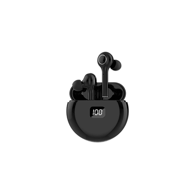 TWS earbuds with display