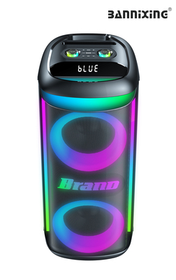 60W Double 6.5inch Party Karaoke Box