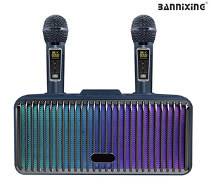 30W Wireless Karaoke Speaker