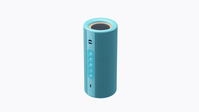 IPX5 Waterproof Speaker
