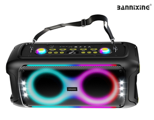 Double 6.5 Inch Party Karaoke Speaker